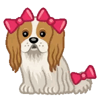 Cavalier King Charles Spaniel with Pink Bow