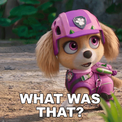 CBS Football Game Touchdown GIF