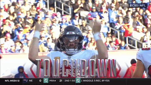 CBS NFL Football Touchdown GIF