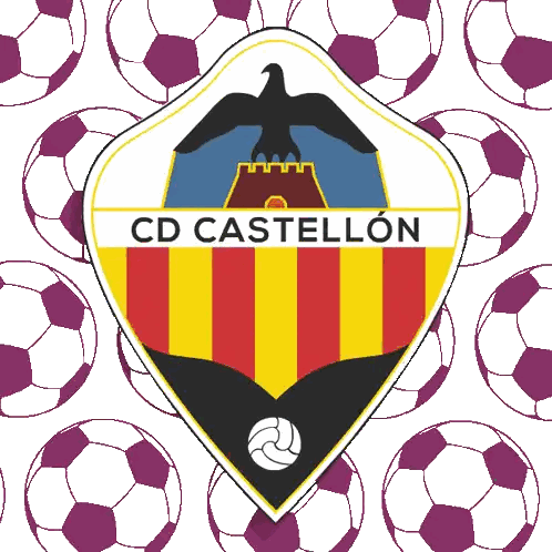 CD Castellon Logo with Purple Soccer Balls