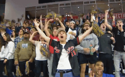 Cedar Pointe Real Estate Ad Behind Crowd of Fans