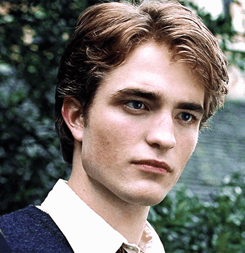 Cedric Diggory Death Stare GIF
