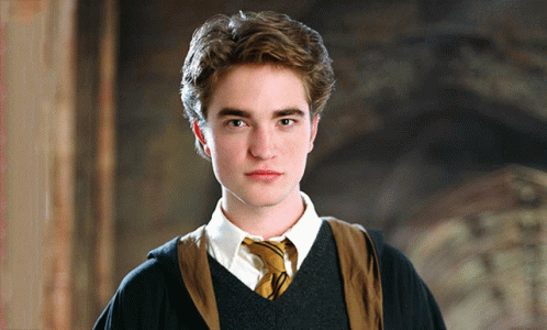 Cedric Diggory Pictures GIF