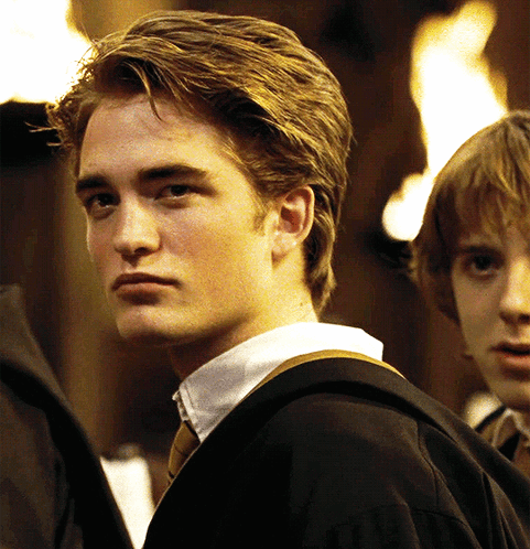 Cedric Diggory Serious Face GIF