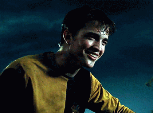 Cedric Diggory Smile GIF