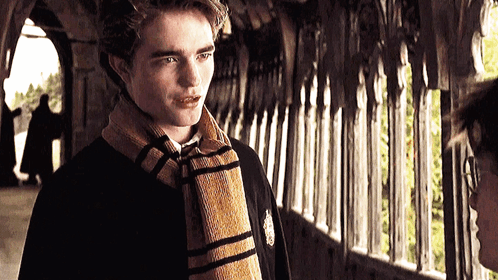 Cedric Diggory Talking With Harry Potter GIF