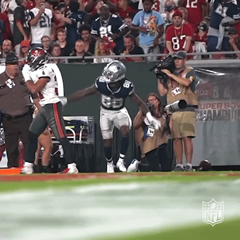 Ceedee Lamb Dallas Happy Celebration GIF
