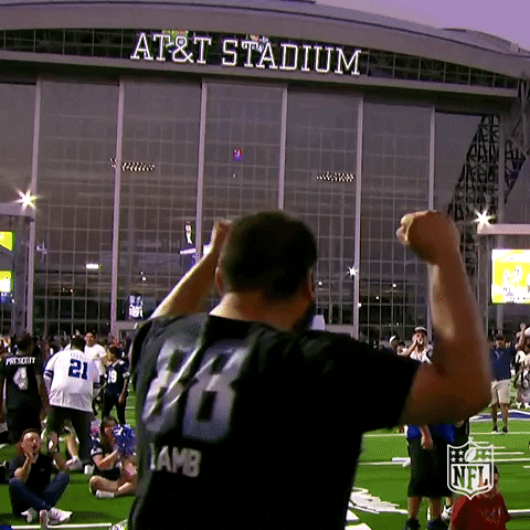 Ceedee Lamb Fan Nfl Kickoff GIF