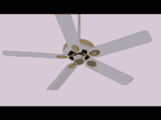 Ceiling Fan Spinning Slowly Gif Gifdb Com