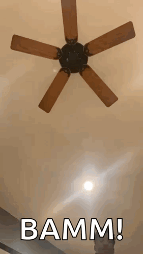 Ceiling Fan with Bamm Text