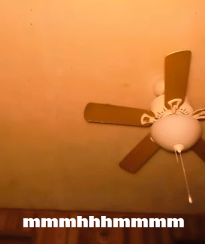 Ceiling Fan With Mmmmhhhmmmm GIF