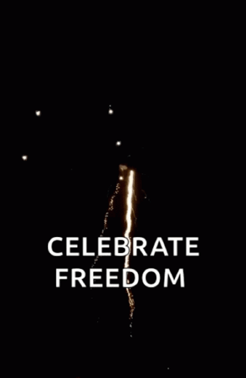 Celebrate Freedom Fireworks Fourth Of July GIF