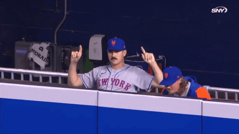 Celebrate Lfgm Mets GIF