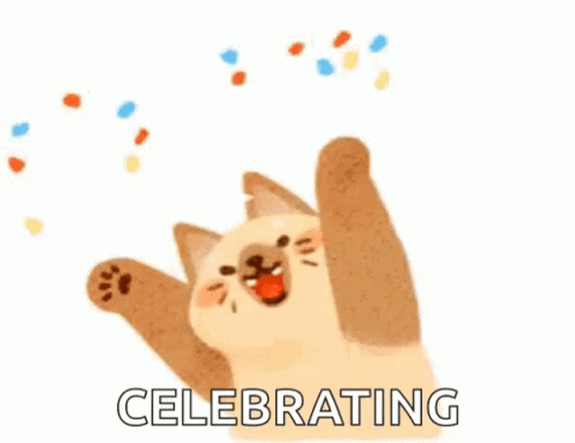 Celebrate Success Happy Animated Cat Confetti GIF