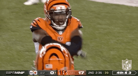 Celebrating Cincinnati Bengals GIF