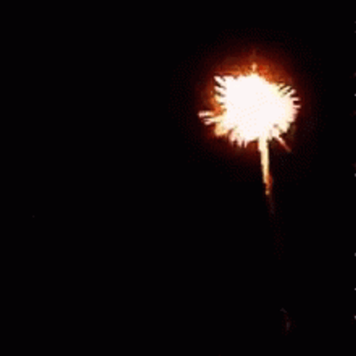 Celebration New Year Fireworks GIF