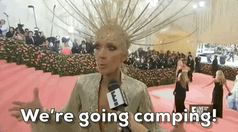 Celine Dion Were Going Camping GIF