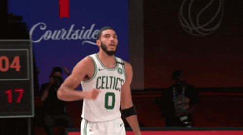 Celtics Jayson Tatum Cheering Wooo GIF