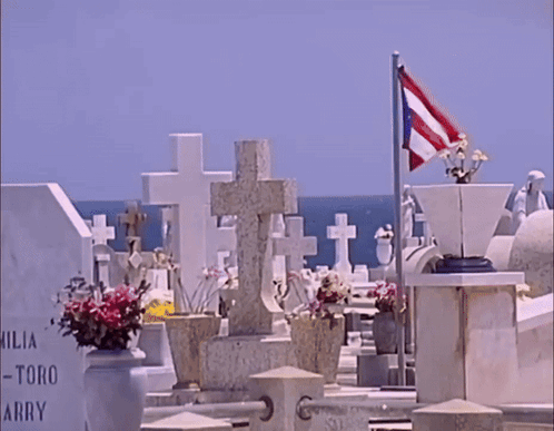 Cemetery Grave Named Toro Arry GIF