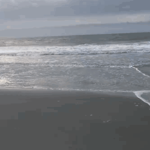 Censored Sign GIF