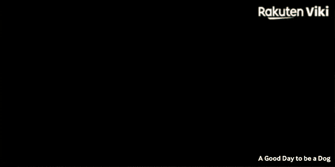 Cha Eun Woo Hugging Dogs GIF