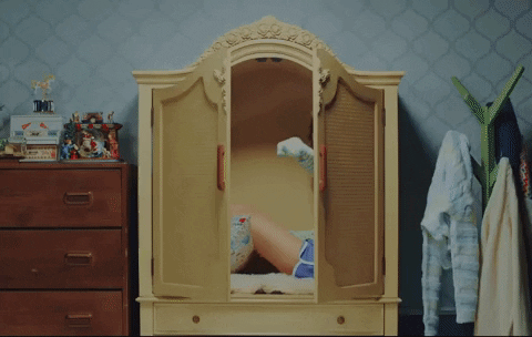Chaeyoung Twice Member In A Cabinet GIF