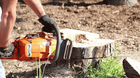 Chainsaw Power Tools Wood GIF