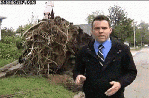 Chainsaw Tree Fall GIF