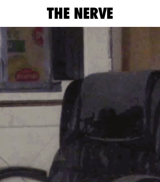 Chair with The Nerve