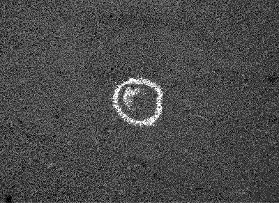 Chalk Drawing Circle GIF