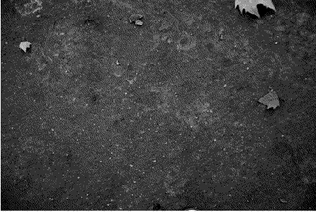 Chalk Writing On Grayscale GIF