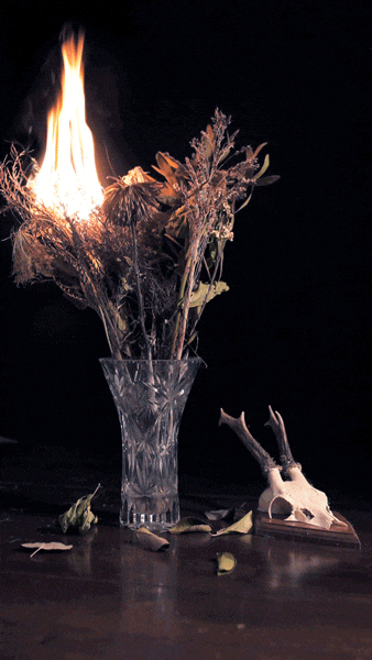 Chama On Flower Base GIF