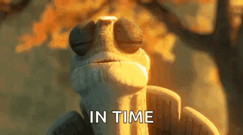 Chameleon Close Up With In Time Text