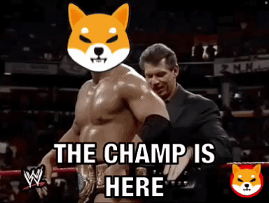 Champ Is Here Wrestler With Shiba Inu Head GIF