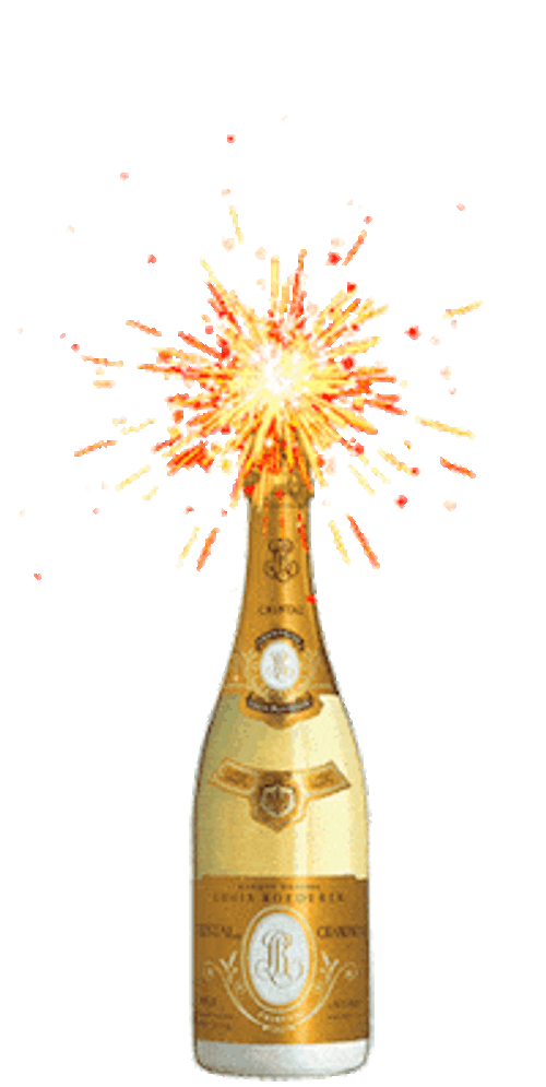 Champagne Popping Fireworks GIF