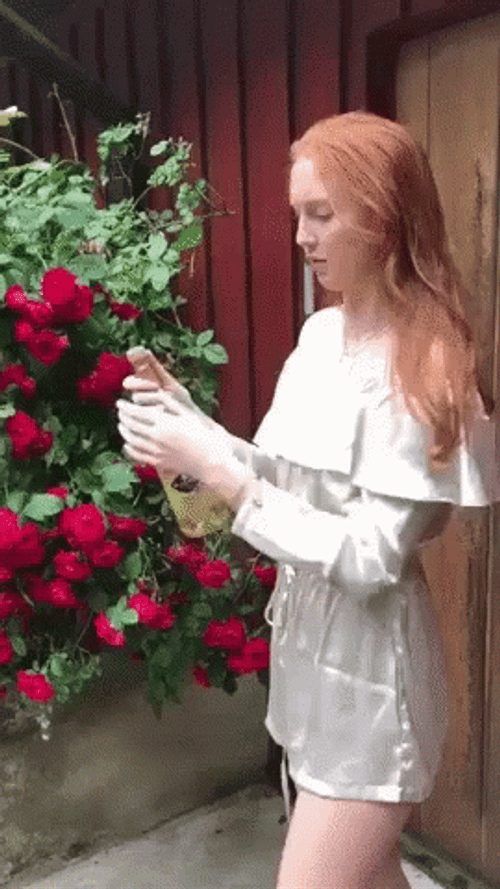 Champagne Popping Gone Wrong GIF