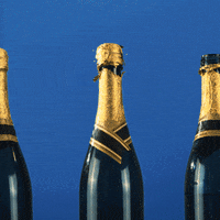 Champagne Popping In Line GIF
