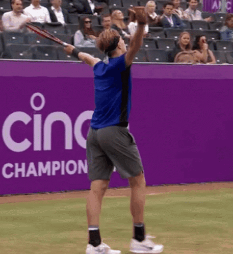 Denis Shapovalov Champion GIF