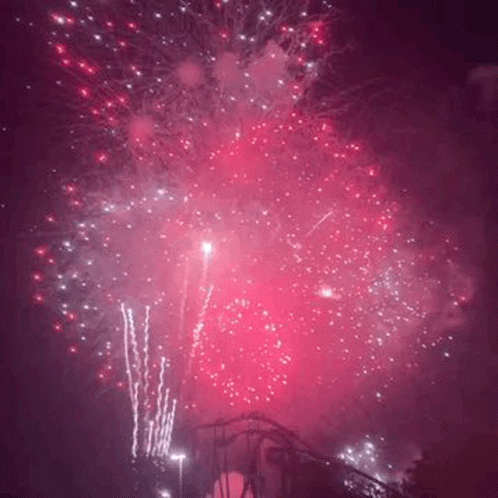 Championship Firework Display In The Sky GIF