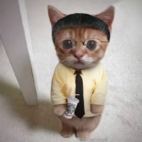 Changing Character El Gato Meme GIF