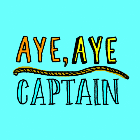 Changing Color Aye Aye Captain GIF