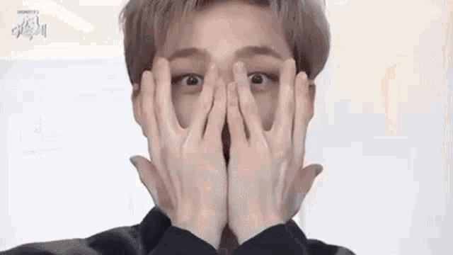Chaos Yelling Kpop Idols Straykids GIF
