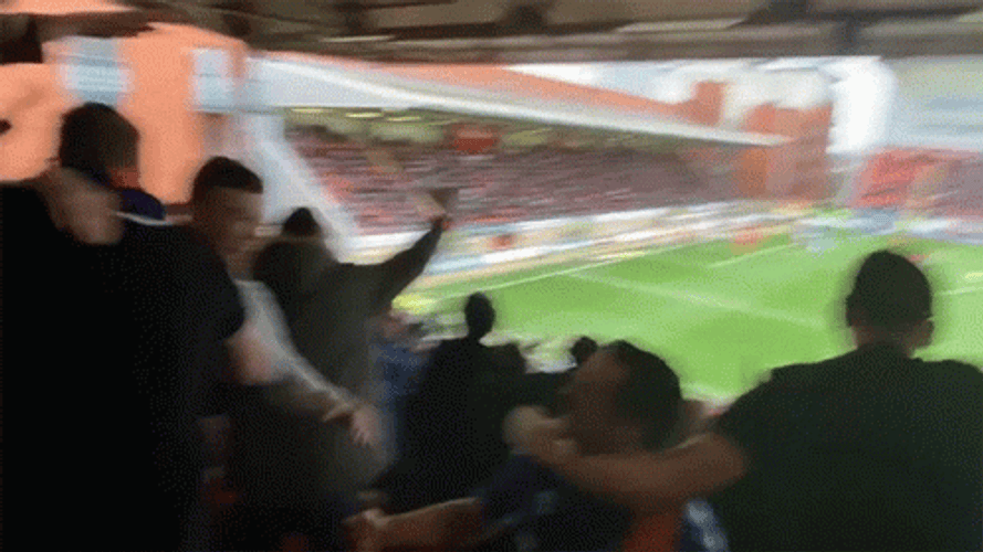 Chaotic Crowd Happy Cheering GIF