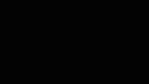 Chapuxeufelsodreico - Schlahchtkfjfofbfronx GIF