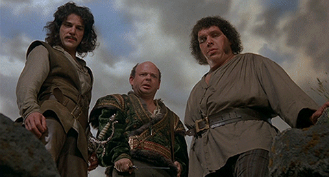Characters Of The Princess Bride GIF