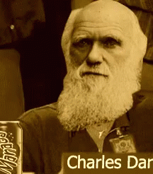 Charles Darwin Theory Of Evolution GIF