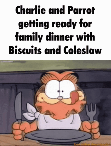Charlie and Parrot Getting Ready for Family Dinner With Biscuits and Colesław
