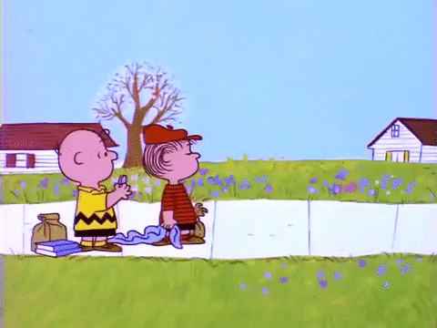 Charlie Brown And Linus Throwing In The Air GIF