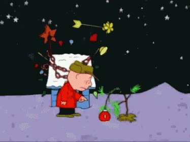 Charlie Brown Christmas Crying GIF