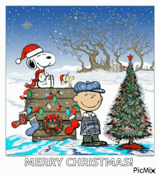 Charlie Brown Christmas GIF